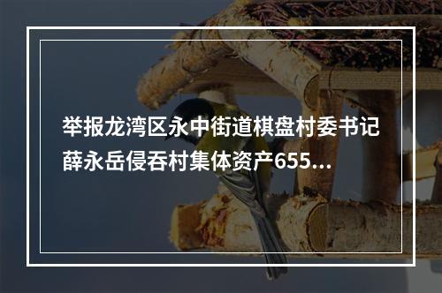举报龙湾区永中街道棋盘村委书记薛永岳侵吞村集体资产655万元