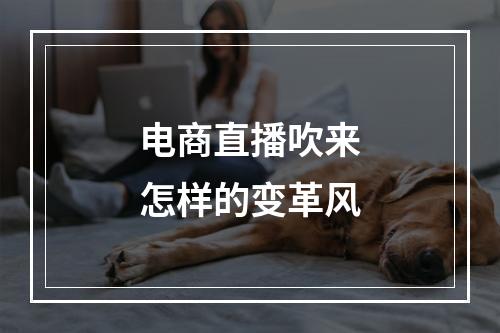 电商直播吹来怎样的变革风
