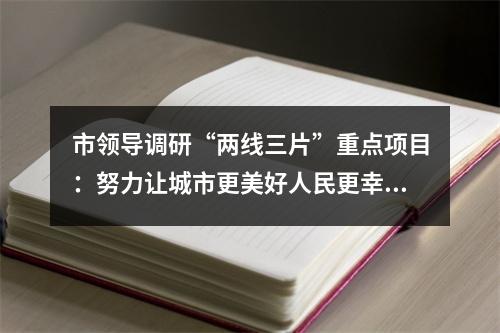 市领导调研“两线三片”重点项目：努力让城市更美好人民更幸福