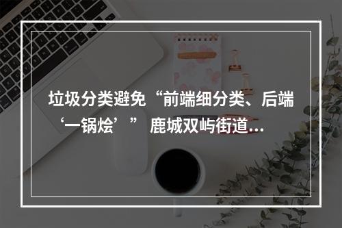 垃圾分类避免“前端细分类、后端‘一锅烩’” 鹿城双屿街道有妙招