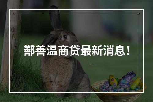 鄯善温商贷最新消息！