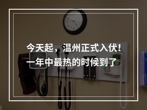今天起，温州正式入伏！一年中最热的时候到了