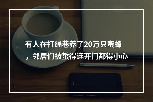 有人在打绳巷养了20万只蜜蜂，邻居们被蜇得连开门都得小心