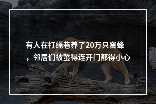 有人在打绳巷养了20万只蜜蜂，邻居们被蜇得连开门都得小心