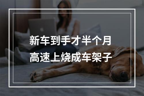 新车到手才半个月 高速上烧成车架子