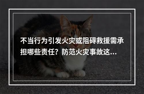 不当行为引发火灾或阻碍救援需承担哪些责任？防范火灾事故这些知识点要GET到
