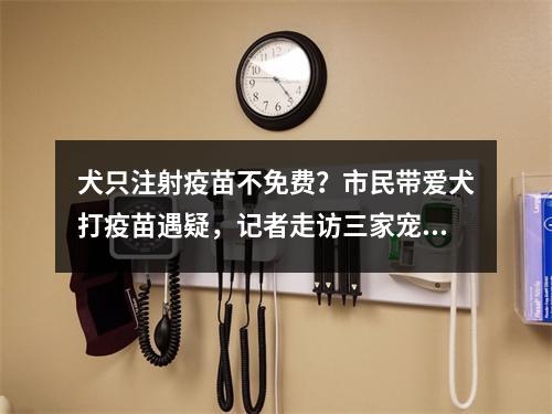 犬只注射疫苗不免费？市民带爱犬打疫苗遇疑，记者走访三家宠物诊所说法各不同