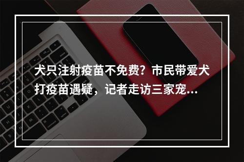 犬只注射疫苗不免费？市民带爱犬打疫苗遇疑，记者走访三家宠物诊所说法各不同