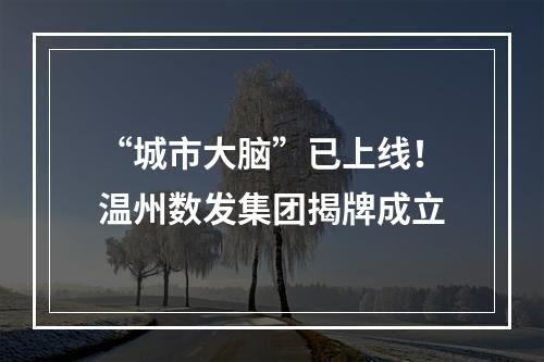 “城市大脑”已上线！温州数发集团揭牌成立