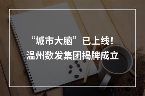“城市大脑”已上线！温州数发集团揭牌成立