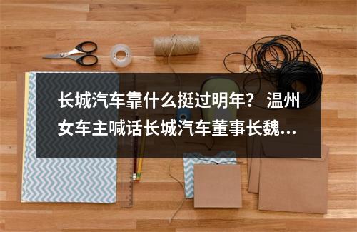 长城汽车靠什么挺过明年？ 温州女车主喊话长城汽车董事长魏建军 “零行程被维修”