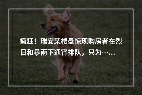 疯狂！瑞安某楼盘惊现购房者在烈日和暴雨下通宵排队，只为……