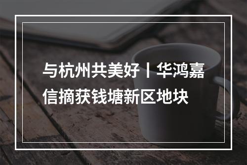 与杭州共美好丨华鸿嘉信摘获钱塘新区地块