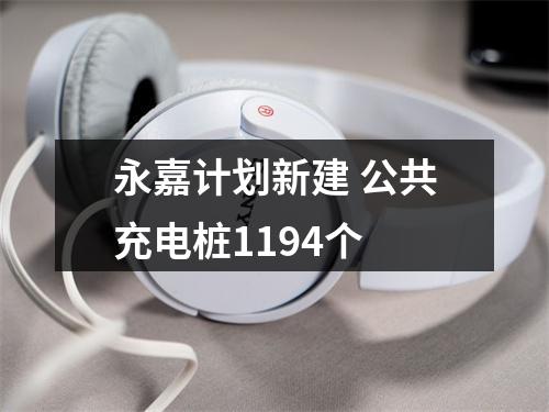 永嘉计划新建 公共充电桩1194个