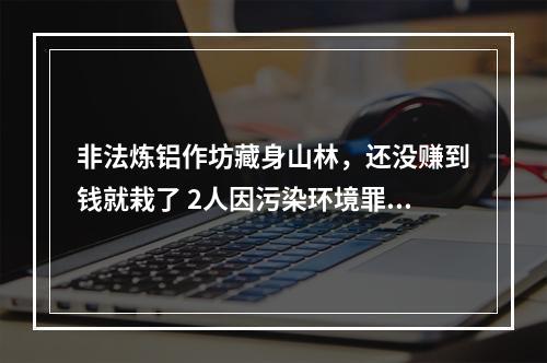 非法炼铝作坊藏身山林，还没赚到钱就栽了 2人因污染环境罪被泰顺警方提请批准逮捕