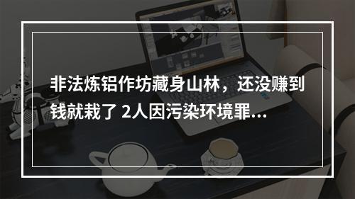 非法炼铝作坊藏身山林，还没赚到钱就栽了 2人因污染环境罪被泰顺警方提请批准逮捕