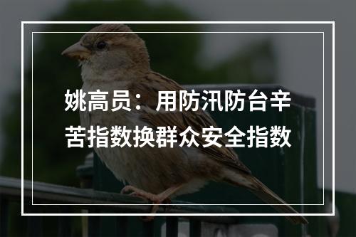 姚高员：用防汛防台辛苦指数换群众安全指数