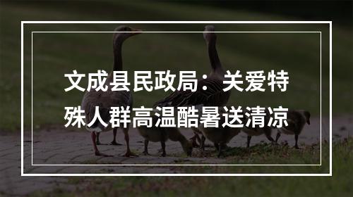 文成县民政局：关爱特殊人群高温酷暑送清凉