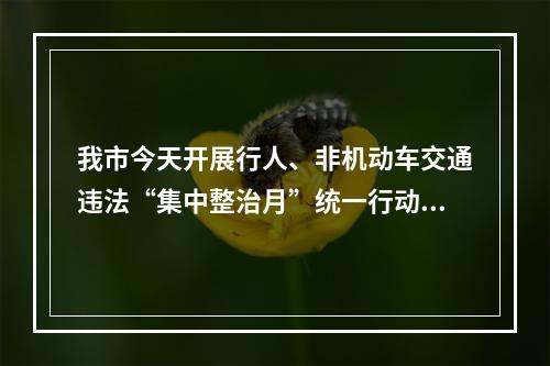 我市今天开展行人、非机动车交通违法“集中整治月”统一行动 “骑手”安全头盔佩戴...