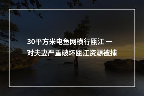 30平方米电鱼网横行瓯江 一对夫妻严重破坏瓯江资源被捕