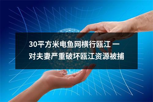 30平方米电鱼网横行瓯江 一对夫妻严重破坏瓯江资源被捕