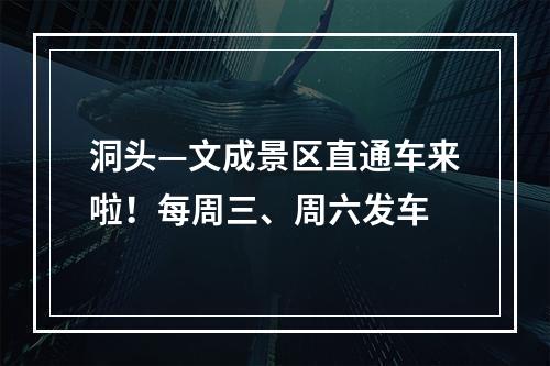 洞头—文成景区直通车来啦！每周三、周六发车