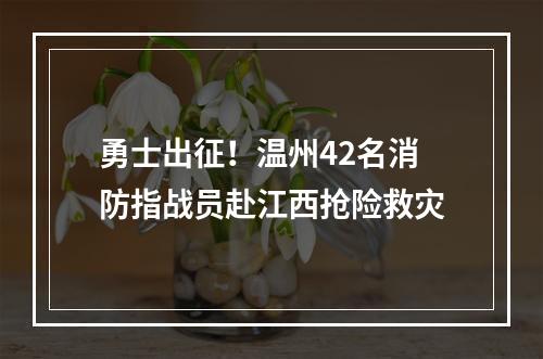 勇士出征！温州42名消防指战员赴江西抢险救灾