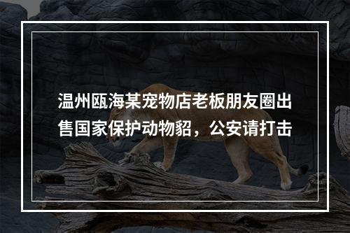 温州瓯海某宠物店老板朋友圈出售国家保护动物貂，公安请打击