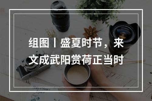 组图丨盛夏时节，来文成武阳赏荷正当时