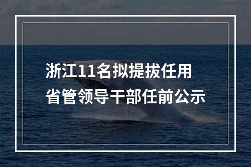 浙江11名拟提拔任用省管领导干部任前公示
