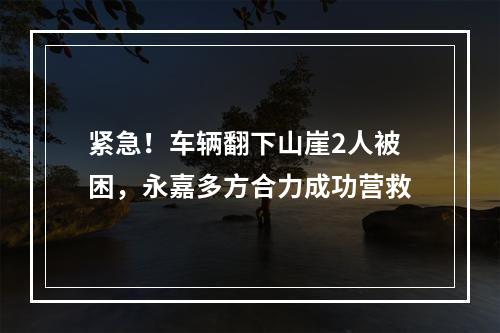紧急！车辆翻下山崖2人被困，永嘉多方合力成功营救
