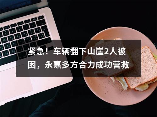 紧急！车辆翻下山崖2人被困，永嘉多方合力成功营救