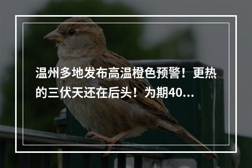 温州多地发布高温橙色预警！更热的三伏天还在后头！为期40天