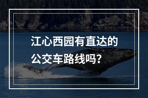 江心西园有直达的公交车路线吗？