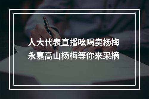 人大代表直播吆喝卖杨梅 永嘉高山杨梅等你来采摘
