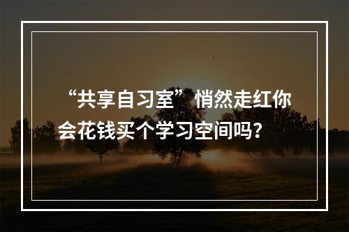 “共享自习室”悄然走红你会花钱买个学习空间吗？