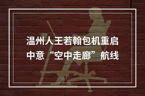 温州人王若翰包机重启中意“空中走廊”航线