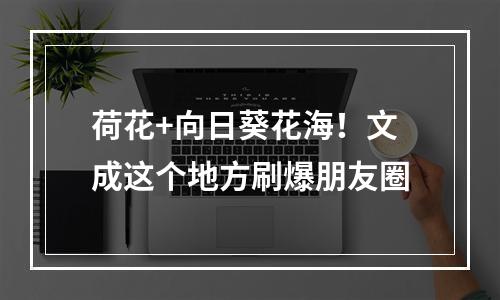 荷花+向日葵花海！文成这个地方刷爆朋友圈