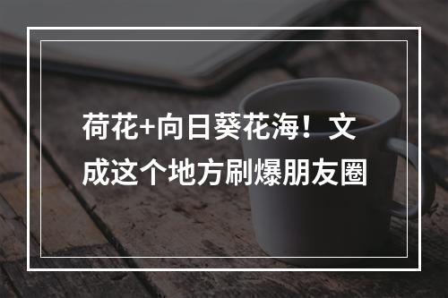 荷花+向日葵花海！文成这个地方刷爆朋友圈