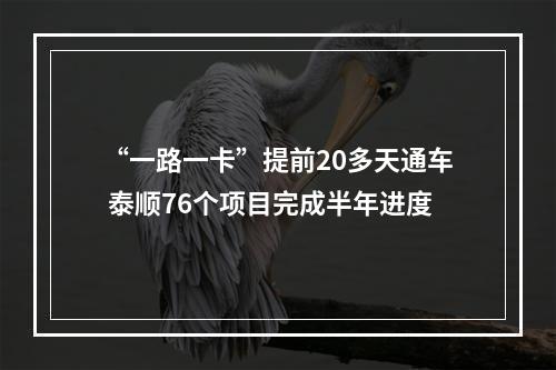“一路一卡”提前20多天通车 泰顺76个项目完成半年进度