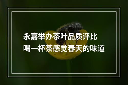 永嘉举办茶叶品质评比 喝一杯茶感觉春天的味道