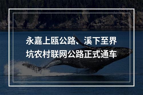 永嘉上瓯公路、溪下至界坑农村联网公路正式通车