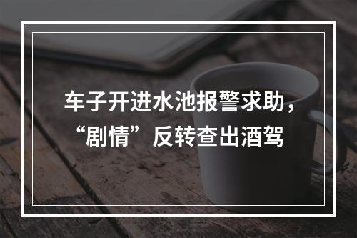 车子开进水池报警求助，“剧情”反转查出酒驾