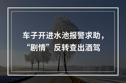 车子开进水池报警求助，“剧情”反转查出酒驾