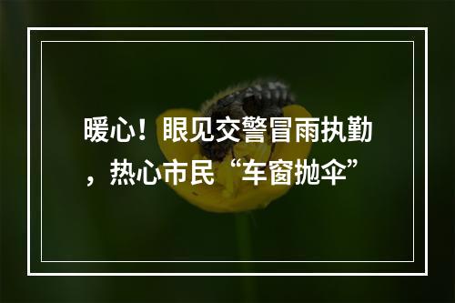 暖心！眼见交警冒雨执勤，热心市民“车窗抛伞”