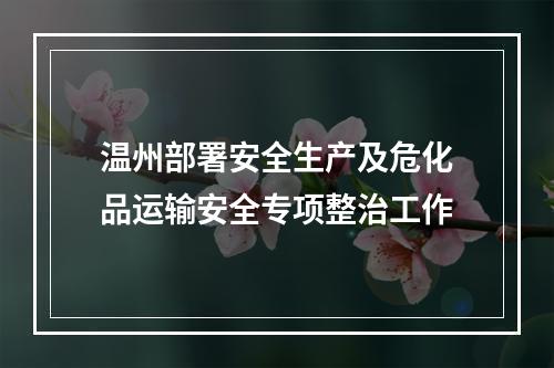 温州部署安全生产及危化品运输安全专项整治工作
