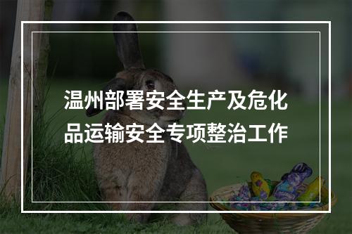 温州部署安全生产及危化品运输安全专项整治工作