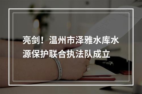 亮剑！温州市泽雅水库水源保护联合执法队成立