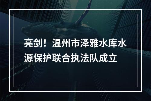 亮剑！温州市泽雅水库水源保护联合执法队成立