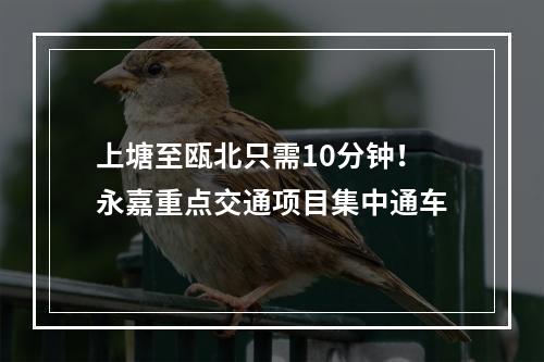 上塘至瓯北只需10分钟！永嘉重点交通项目集中通车